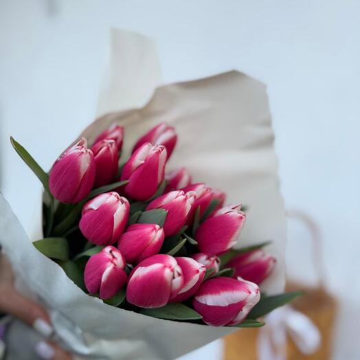 Pink tulips