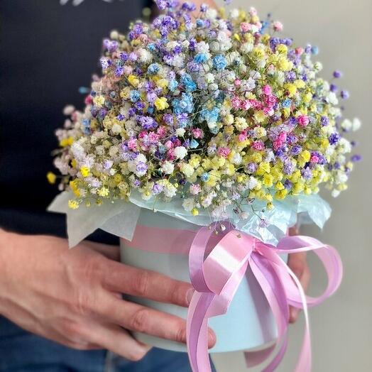 Радужная гипсофила в коробке S