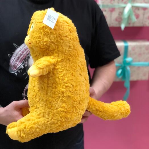 Кот лупоглазик рыжий