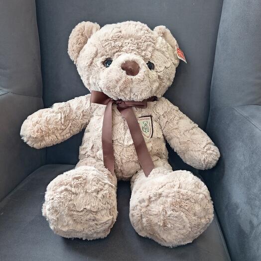 Медведь Арнольд