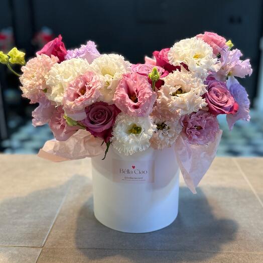 A spring composition in a box