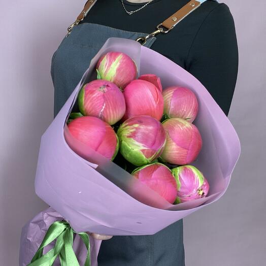 Коралловые пионы