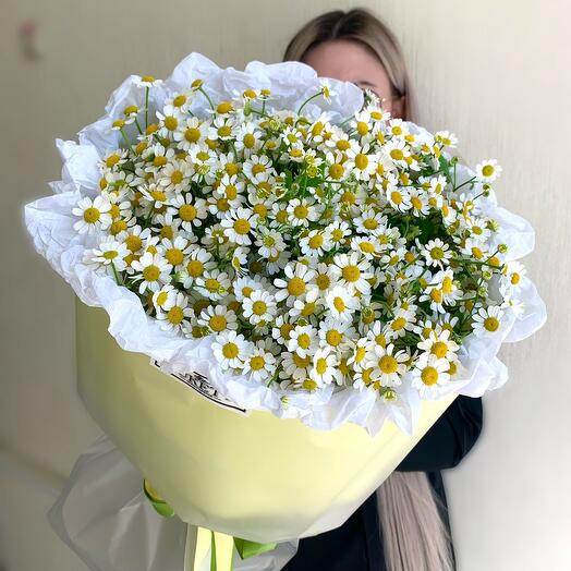 🌸 Букет ромашек