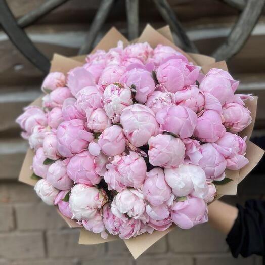 Букет из 51 пиона Сара Бернар (0006) peony