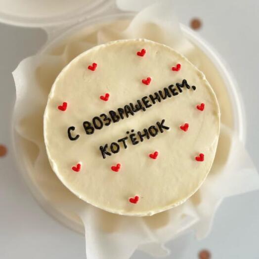 Бенто-торт «С возвращением, котенок»