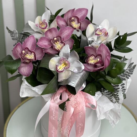 Бабочки 🦋 для тебя моя Любовь 😍