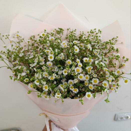 Martia! из мелких ромашек 🌼🦋🍀 больше живых Цветов и меньше обертки пустой =)