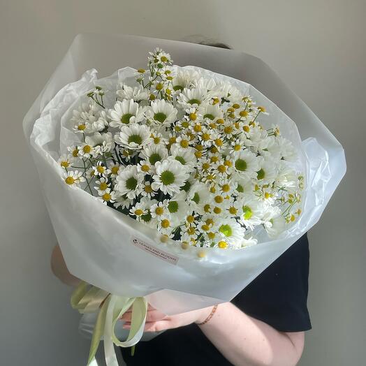 Сантини и ромашки