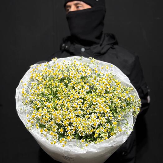 Букет  с матрикарией