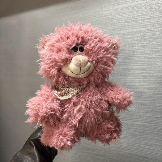 Кот с косынкой