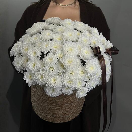 Цветы Букет Art Flowers Кустовые хризантемы в кашпо 11 шт