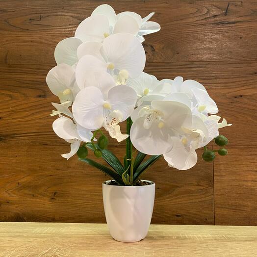 Цветок искусственный Орхидея в горшке 2 ветки латекс белый h=40 см