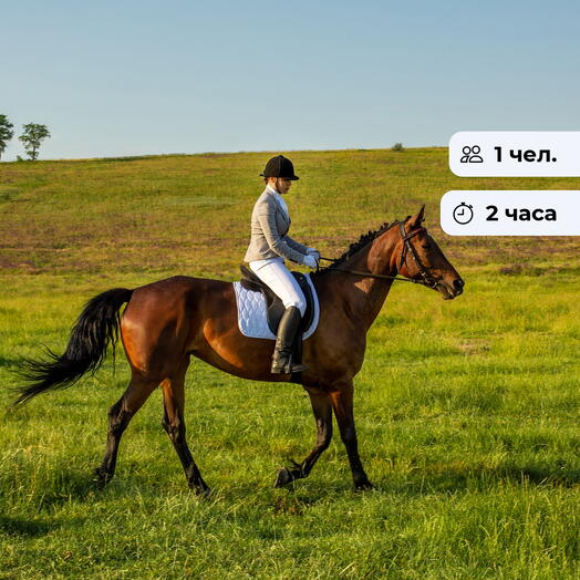 Будь на коне. Конная прогулка д. Позднякова