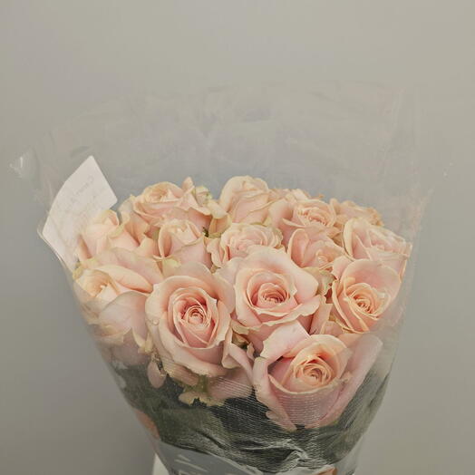 Пачка (15 шт.) Роза одноголовая Свит Аваланш 50 см Арт. Fla01085c