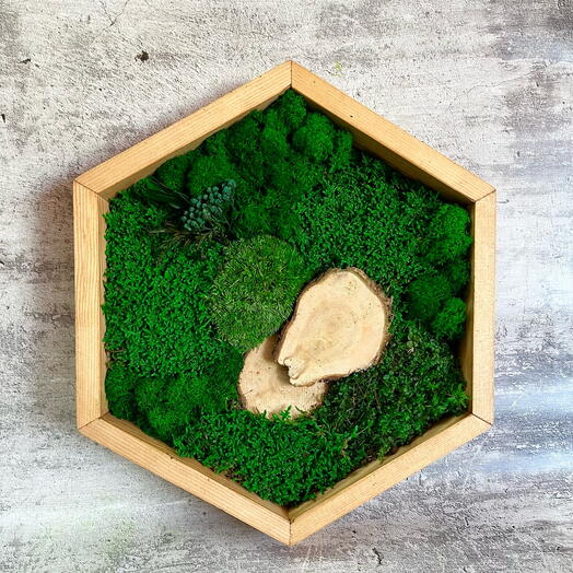 Фитокартина из мха подарок бабушке