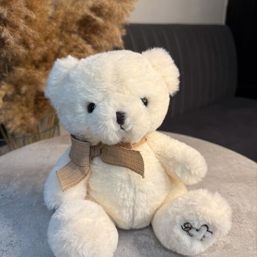 Плюшевый медвежонок