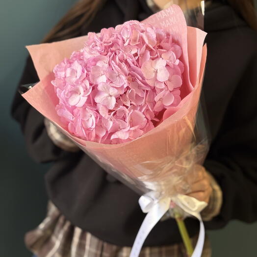 🩷Гортензия 🩷 для мамочки 💕
