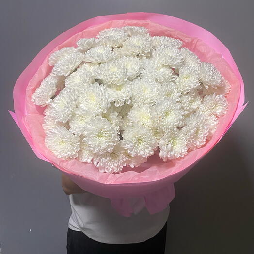 Белоснежная хризантема