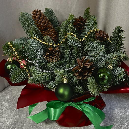 Композиция с нобилисом