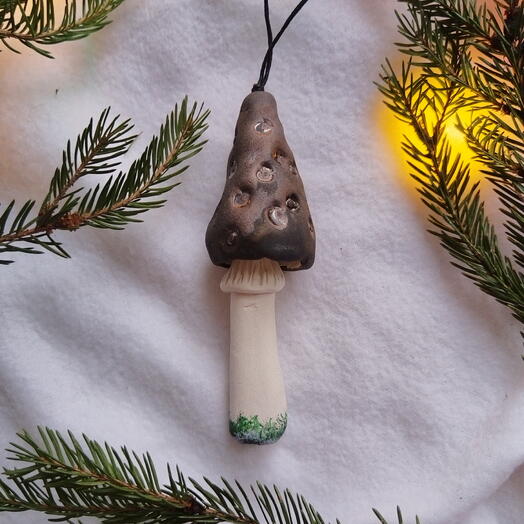 Гриб-шоколадный