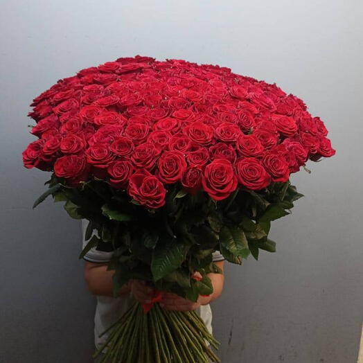 201 Красная роза Red Naomi