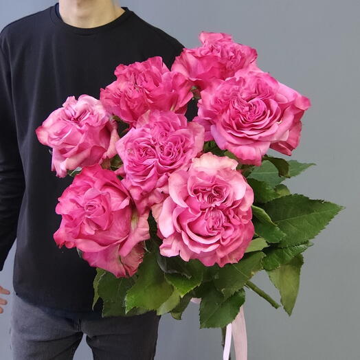 7 крупноголовых пионовидных эквадорских роз сорта Кантри Блюз под ленточкой