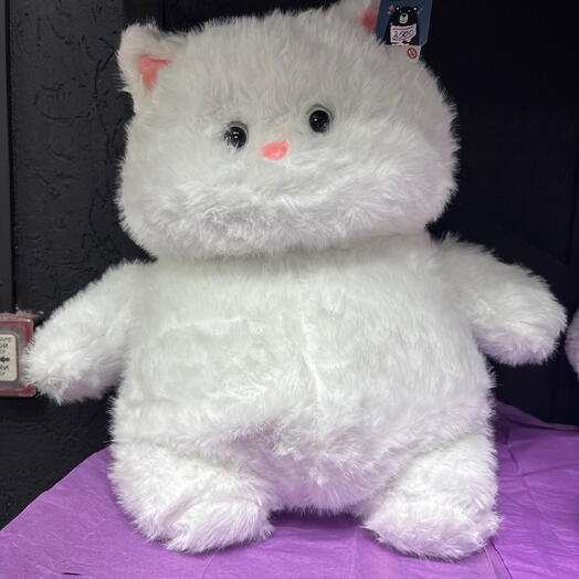 Котик