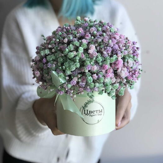 Композиция Гипсофила S