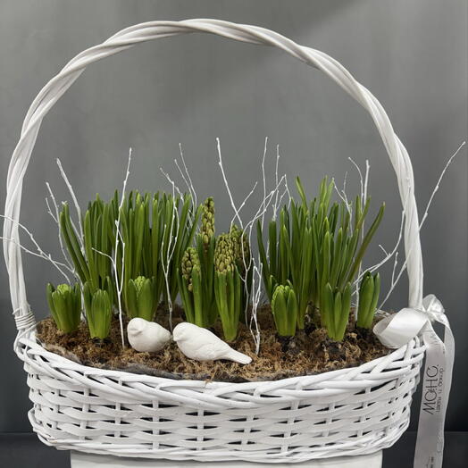 Большая корзина с гиацинтами и мускари