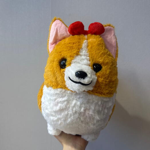 Милая корги