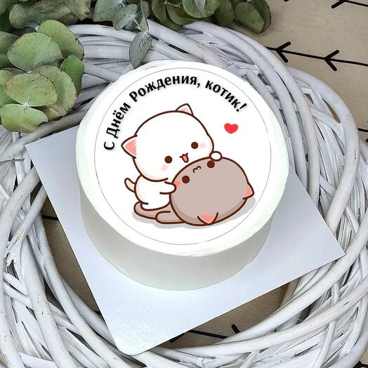 Бенто торт на день рождения с котиками