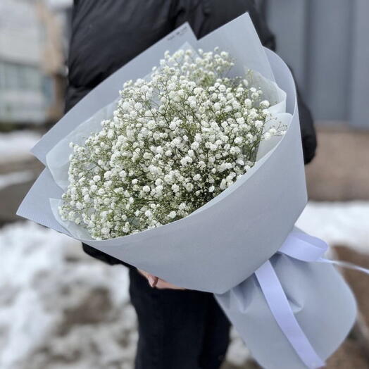 Gypsophila in white