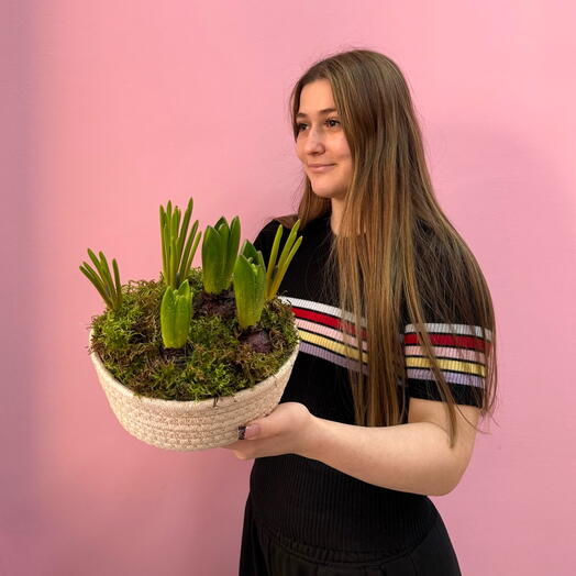 Мини сад с ароматными гиацинтами , и мускари в джутовом кашпо