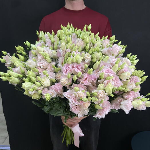 29 Эустом Алиса розовая