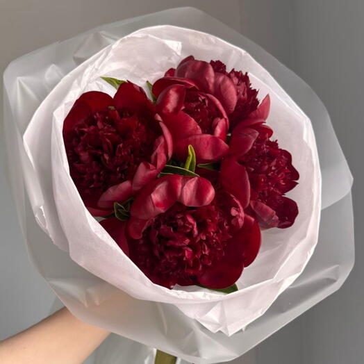 BURGUNDY PEONY (S)