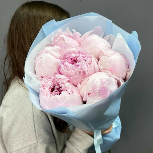 7 нежных розовых пионы Сара Бернар peony