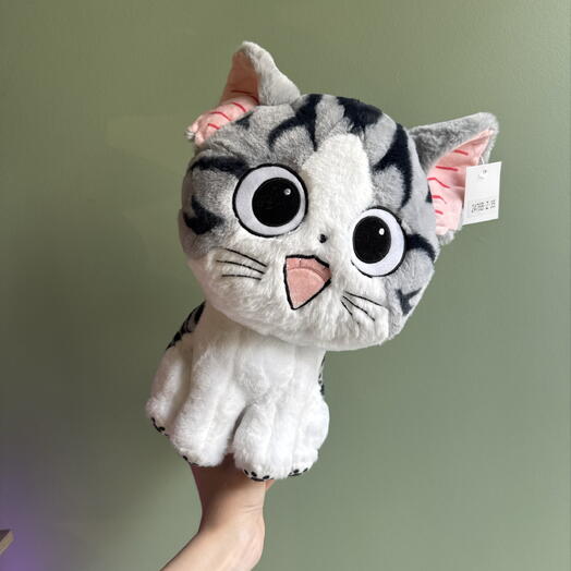 Кот с большой головой