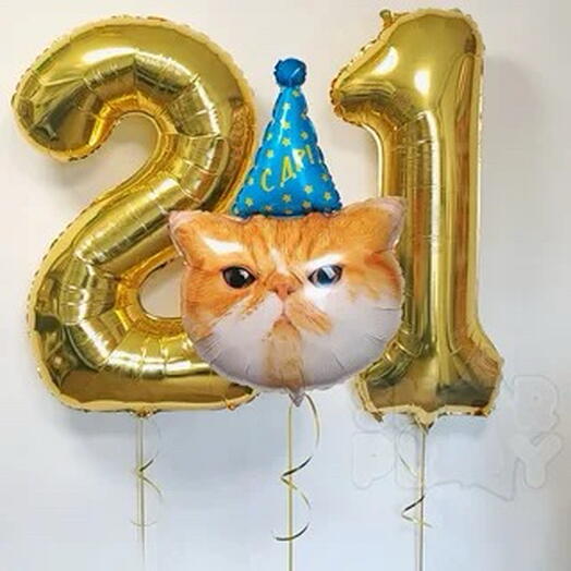 Шарики с котиком! С ДР! И цифра 21