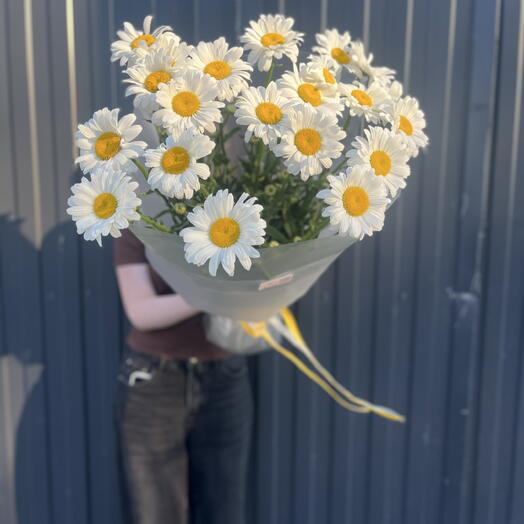 Ромашка 🌼