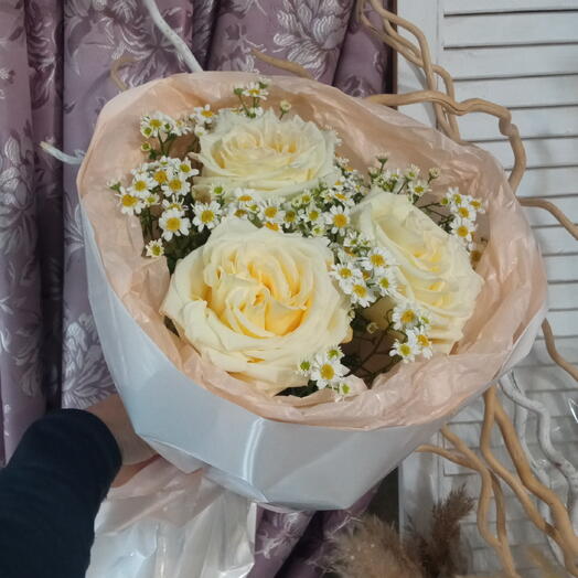 Розы ромашки