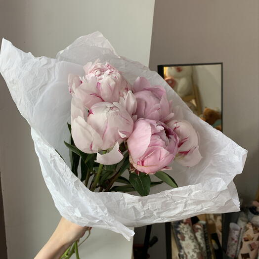 Нежные пионы💗