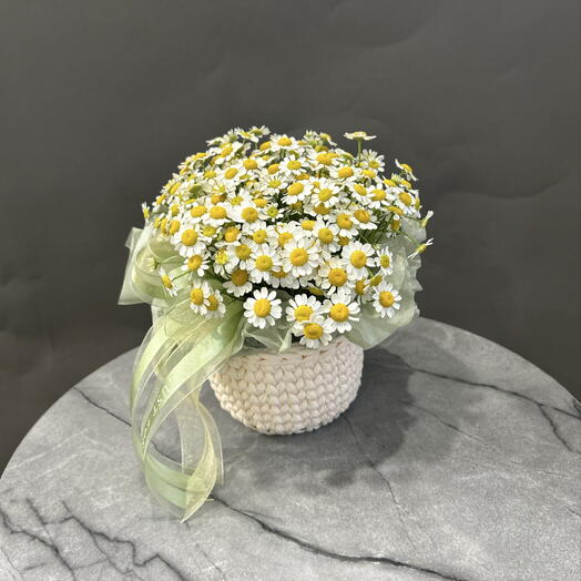 Корзинка с ромашками мини