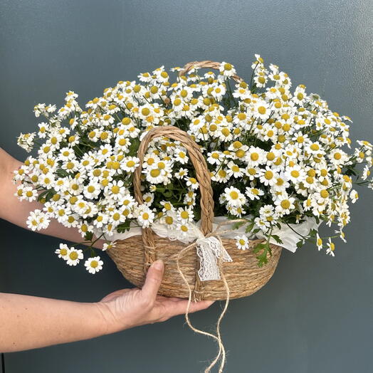 Корзина с ромашками