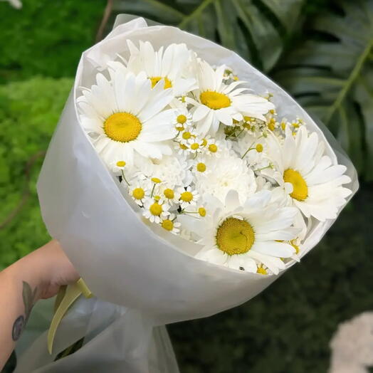 Букет ромашек (ромашки садовые)