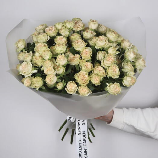 Розы кустовые кремовые, букет из 15 шт в упаковке