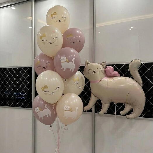 Воздушные шары с кошечкой