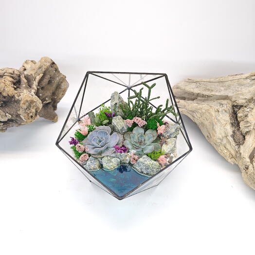 Florarium with succulents "Velvet tenderness" with lake Icosahedron 18cm