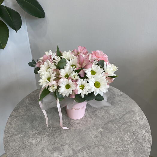 Стаканчик ромашки и альстромерии 🌸️🤍