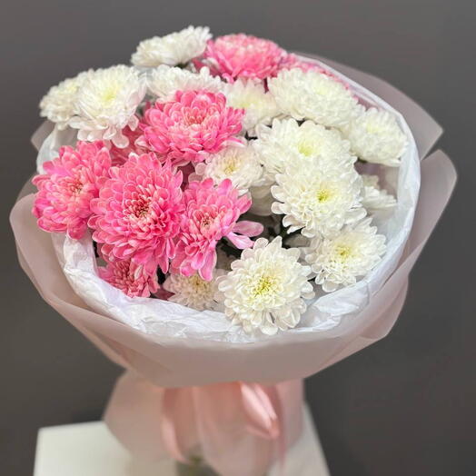 Бело-розовый микс из хризантемы 🌸