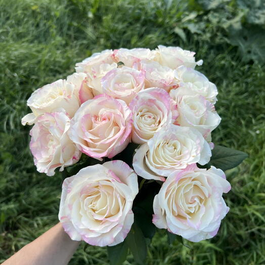Монобукет из нежных роз 💕🫰🏻